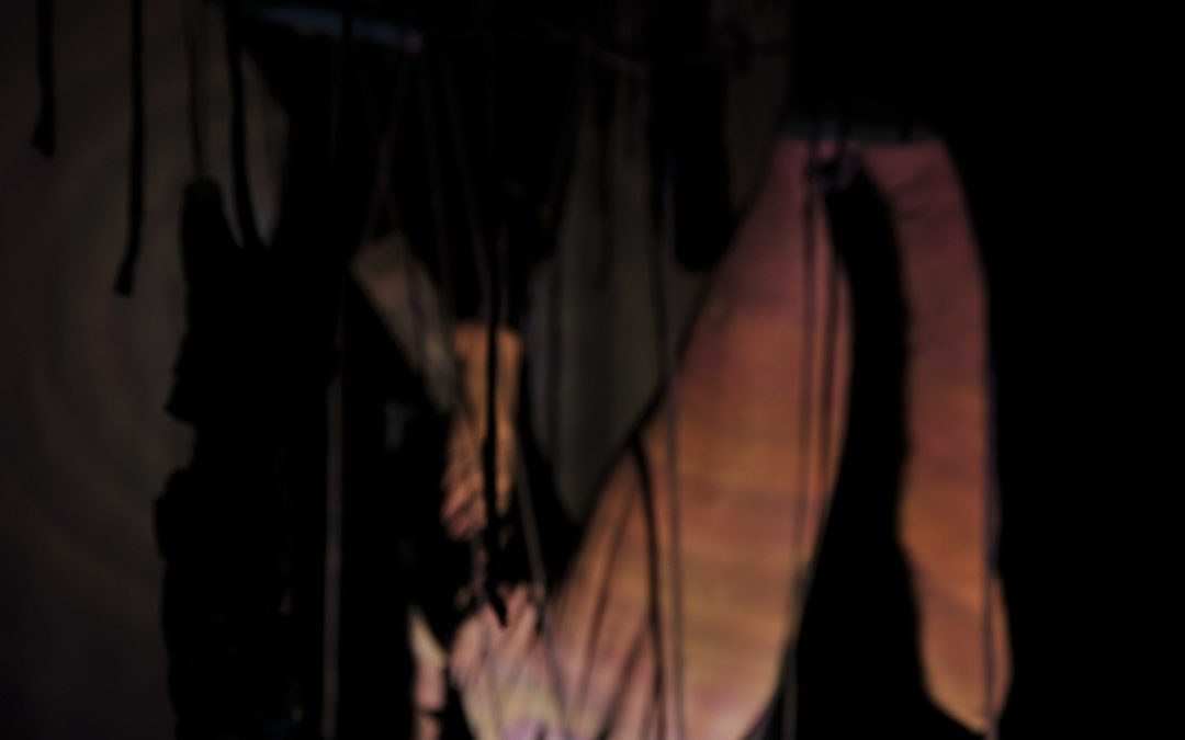 8179104_orig