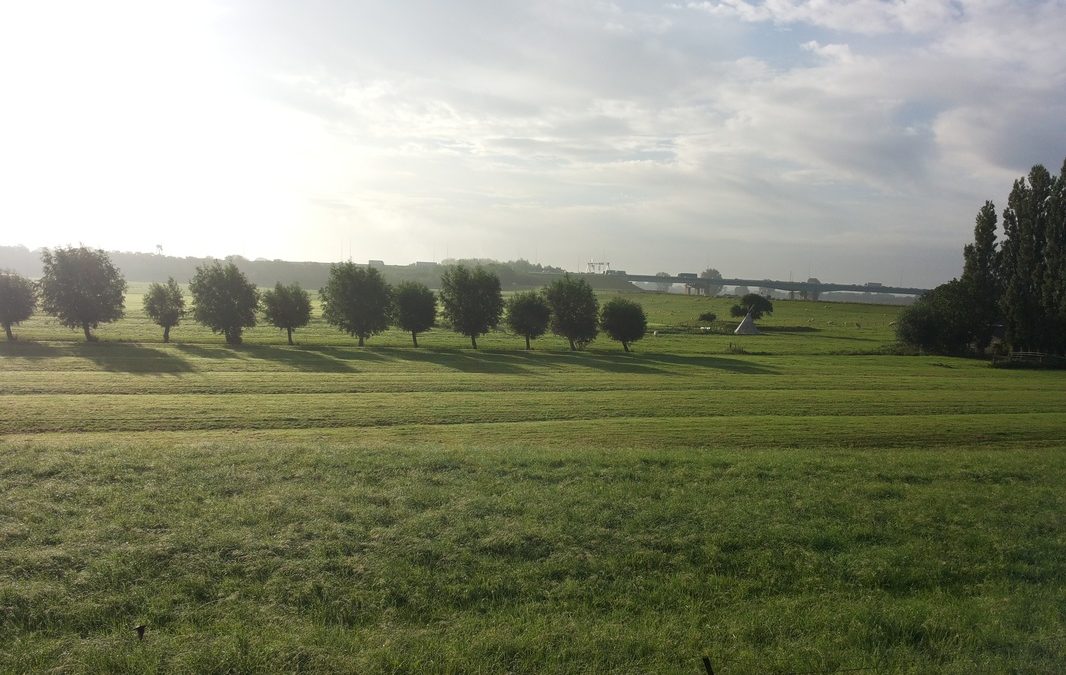 Tipi in het weiland